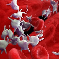 Giáo án PowerPoint Khoa học tự nhiên 8 Bài 31: Hệ vận động ở người