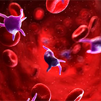 Giáo án PowerPoint Khoa học tự nhiên 8 Bài 32: Dinh dưỡng và tiêu hóa ở người