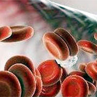 Giáo án PowerPoint Khoa học tự nhiên 8 Bài 33: Máu và hệ tuần hoàn của cơ thể người