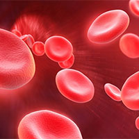 Giáo án PowerPoint Khoa học tự nhiên 8 Bài 34: Hệ hô hấp ở người