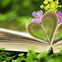 Giáo án PowerPoint Ngữ văn 7 Bài 2: Củng cố mở rộng