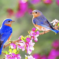 Giáo án PowerPoint Ngữ văn 7 Bài 2: Đồng dao mùa xuân