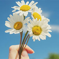 Giáo án PowerPoint Ngữ văn 7 Bài 2: Tri thức ngữ văn