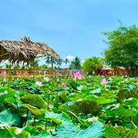 Giáo án PowerPoint Ngữ văn 7 Bài 4: Gò Me