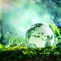 Viết đoạn văn theo đề tài môi trường (3 mẫu) 