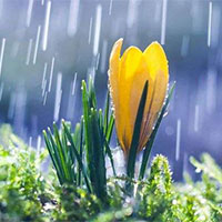 Giáo án PowerPoint Ngữ văn 9 Bài 2: Tiếng đàn mưa