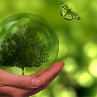 Giáo án PowerPoint Hoạt động trải nghiệm 2 Tuần 28 Chủ đề 8: Môi trường xanh, cuộc sống xanh