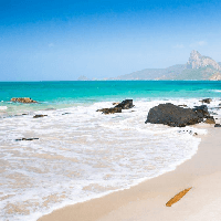 Viết đoạn văn nêu tình cảm, cảm xúc về biển Vũng Tàu (3 mẫu)