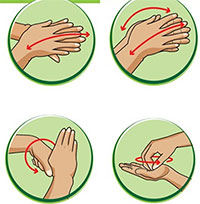 Giáo án mầm non: Thực hành rửa tay