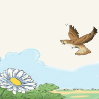 Truyện Chim sơn ca và bông cúc trắng