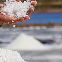 Giáo án PowerPoint Tiếng Việt 5: Mặn mòi vị muối Bạc Liêu