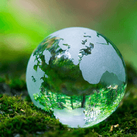 Viết 4 - 5 câu thể hiện sự thân thiện thiên nhiên, bảo vệ môi trường (3 mẫu)