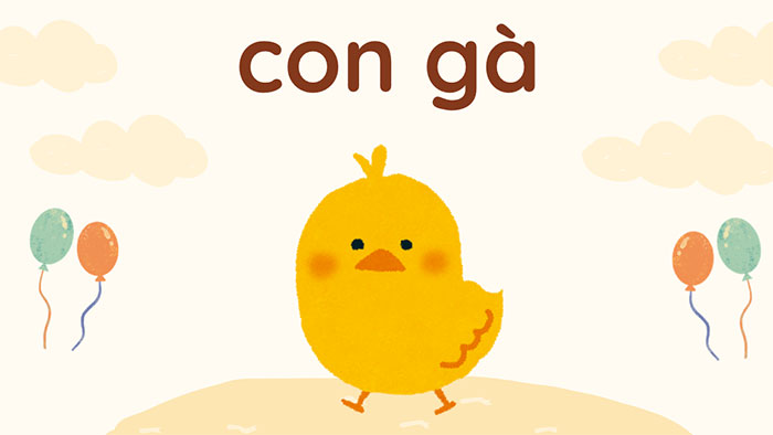 Đáp án đúng
