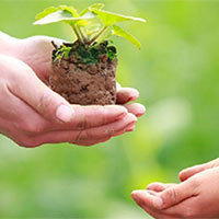 Giáo án PowerPoint Tiếng Việt 5 Bài 3: Những bài học hay