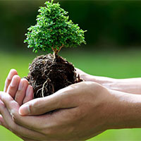 Giáo án PowerPoint Chuyên đề Vật lí 10 Bài 7: Môi trường và bảo vệ môi trường  