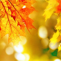 Giáo án PowerPoint Tiếng Việt 3 Bài 1: Mùa thu của em