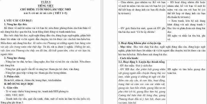 Giáo án Tiếng Việt 4: Cô bé ấy đã lớn