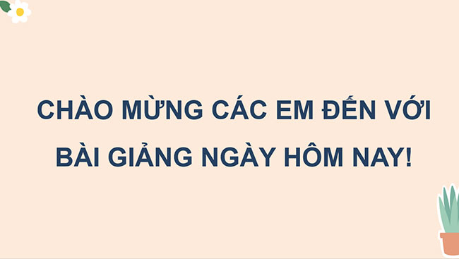 HDTN 5 1*667866