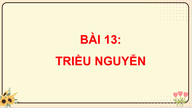 LS DL 5 KNTT HK2 6*668089