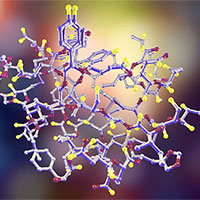 Giáo án PowerPoint Khoa học tự nhiên 7 Bài 18: Quang hợp ở thực vật 