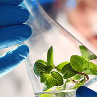 Giáo án PowerPoint Khoa học tự nhiên 7 Bài 24: Vai trò của nước và các chất dinh dưỡng đối với cơ thể sinh vật  