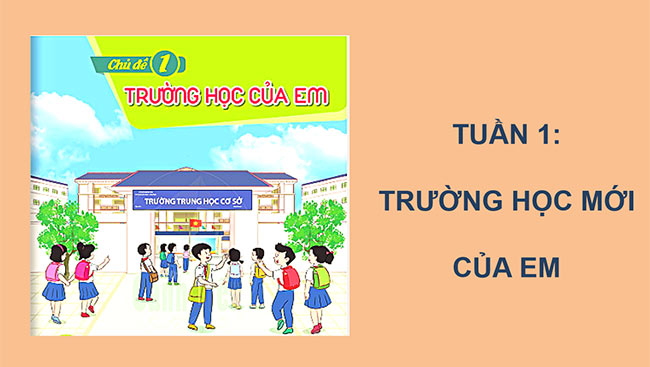 HDTN 6 CD 2*668753