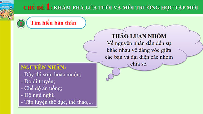 HDTN 6 CTST 6*668661