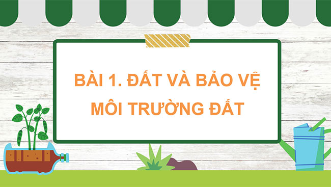 Khoa hoc 5 4*668955