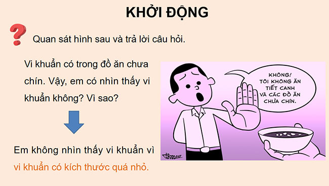 Khoa hoc 5 HK2 2*668957
