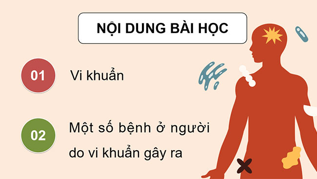 Khoa hoc 5 HK2 4*668948