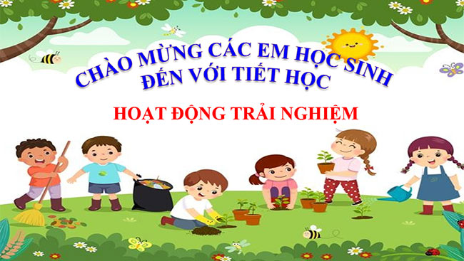 HDTN 1 1*669487