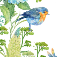 Giáo án PowerPoint Tiếng Việt 4 Bài 7: Gió vườn