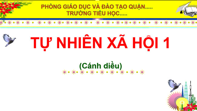 TNXH 1 HK2 1*670519