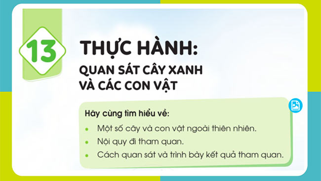 TNXH 1 HK2 3*670518