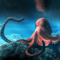 Đoạn trích Bạch tuộc