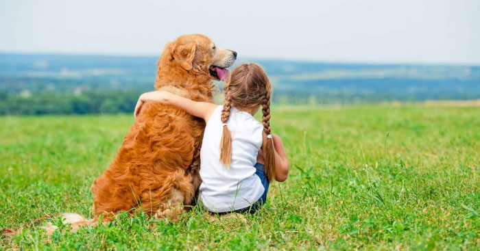 Tóm tắt văn bản Tại sao nên có vật nuôi trong nhà