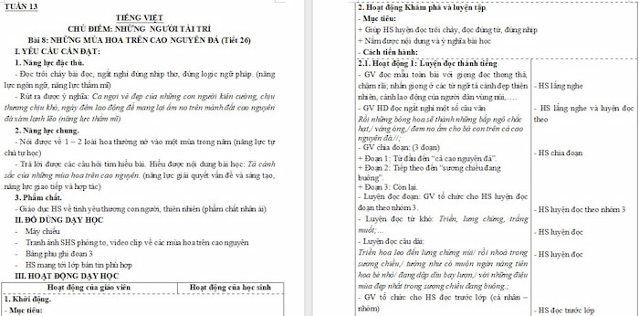 Giáo án Tiếng Việt 4: Những mùa hoa trên cao nguyên đá người