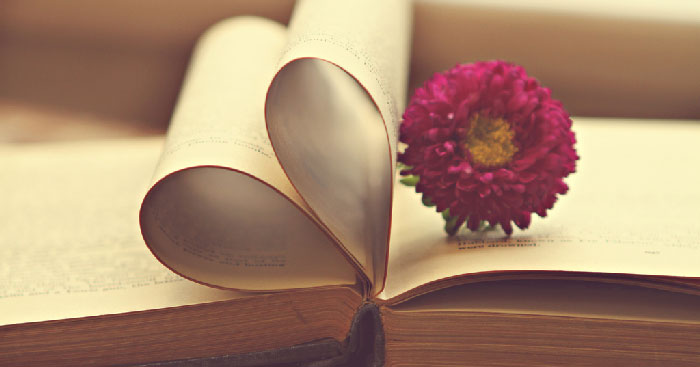 Văn bản Góc nhìn