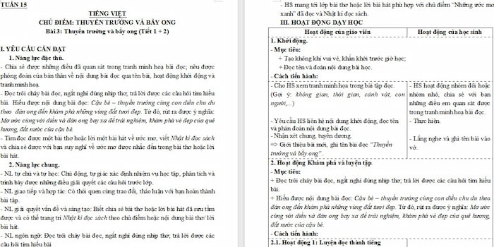 Giáo án Tiếng Việt 4: Thuyền trưởng và bầy ong