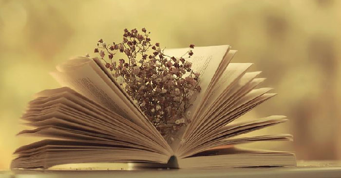 Văn bản Nguyên Hồng - nhà văn của những người cùng khổ