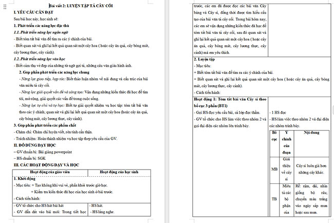 Giáo án Tiếng Việt 4 Luyện tập tả cây cối