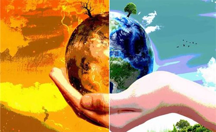 Tìm hiểu về sự thay đổi môi trường tự nhiên tại địa phương