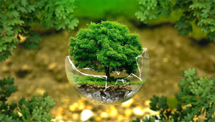 Trao đổi về trách nhiệm bảo vệ môi trường tự nhiên và cảnh quan thiên nhiên