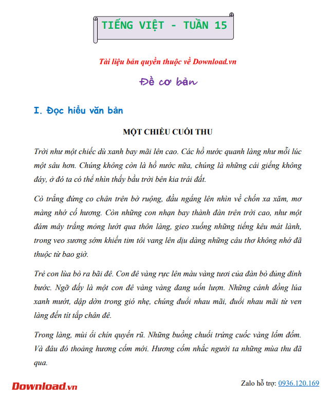 CTST5 Tuan 15 1*678204