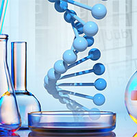 Giáo án PowerPoint Hóa học 11 Bài 12: Công thức phân tử hợp chất hữu cơ  