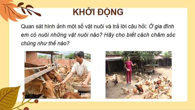 Bai 10 Cong nghe 7 2*679802