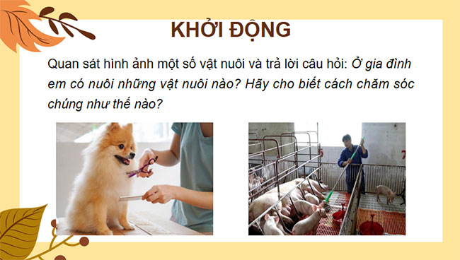 Bai 10 Cong nghe 7 3*679805