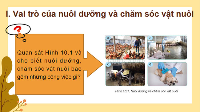 Bai 10 Cong nghe 7 5*679800