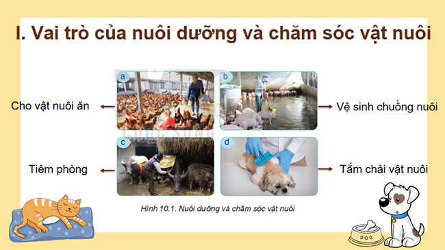 Bai 10 Cong nghe 7 6*679801