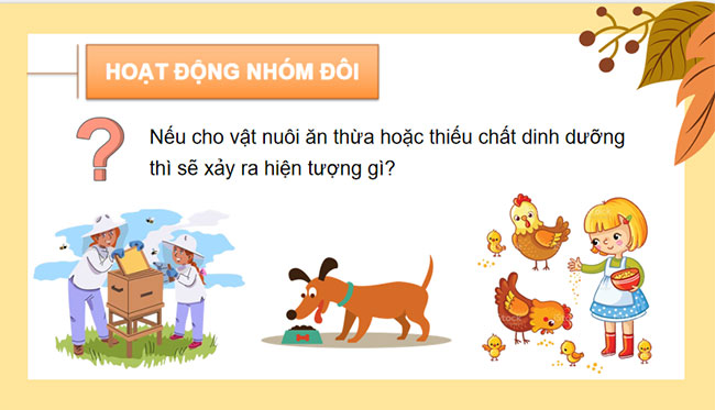 Bai 10 Cong nghe 7 8*679799